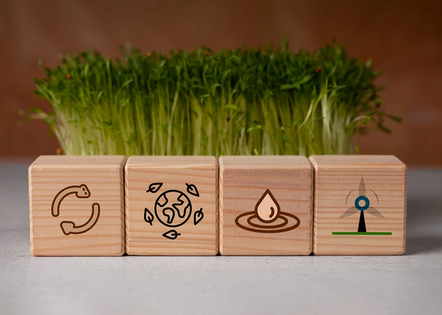 Das Lieferkettensorgfaltspflichtengesetz